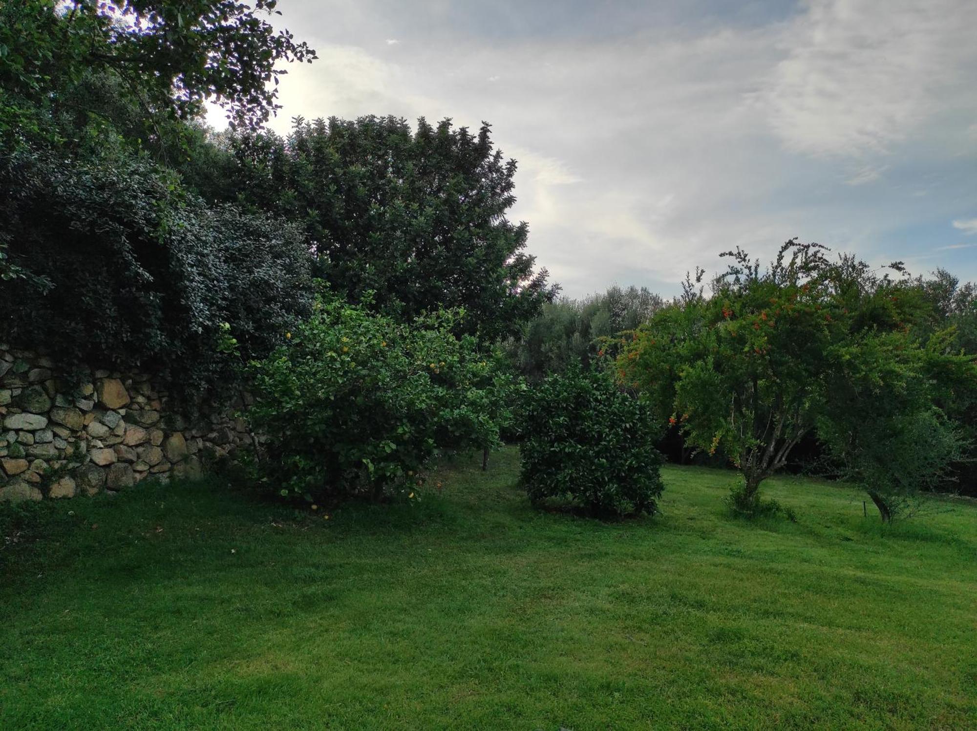 Agriturismo Asara Padru Exterior photo